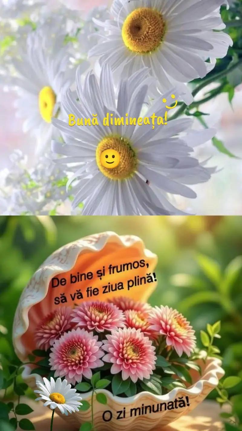 @Alina ๐๐ค๐๐