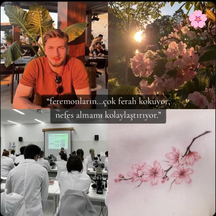 @cometobesiktasbroo