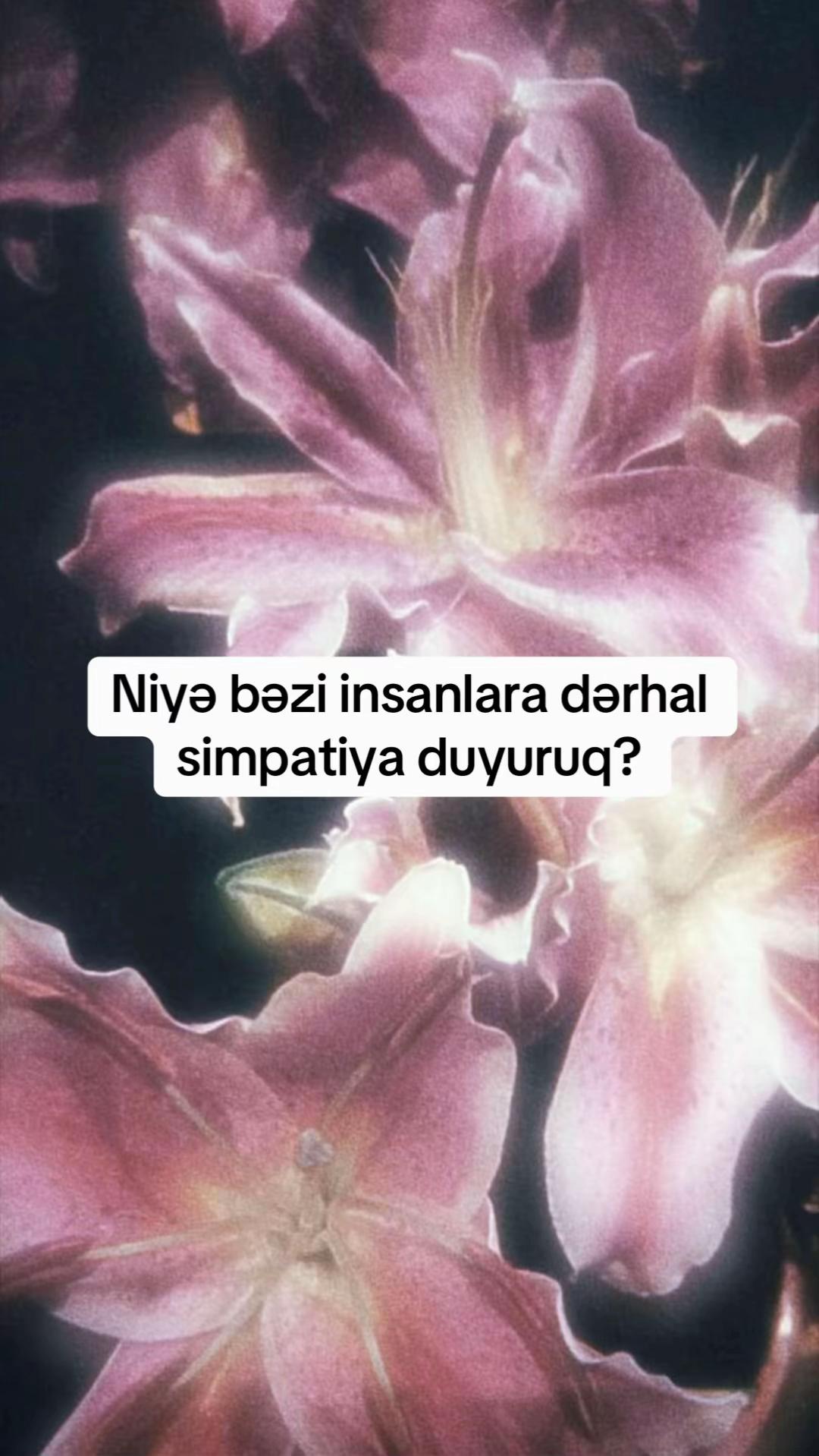 @Nəzrin Bağırova