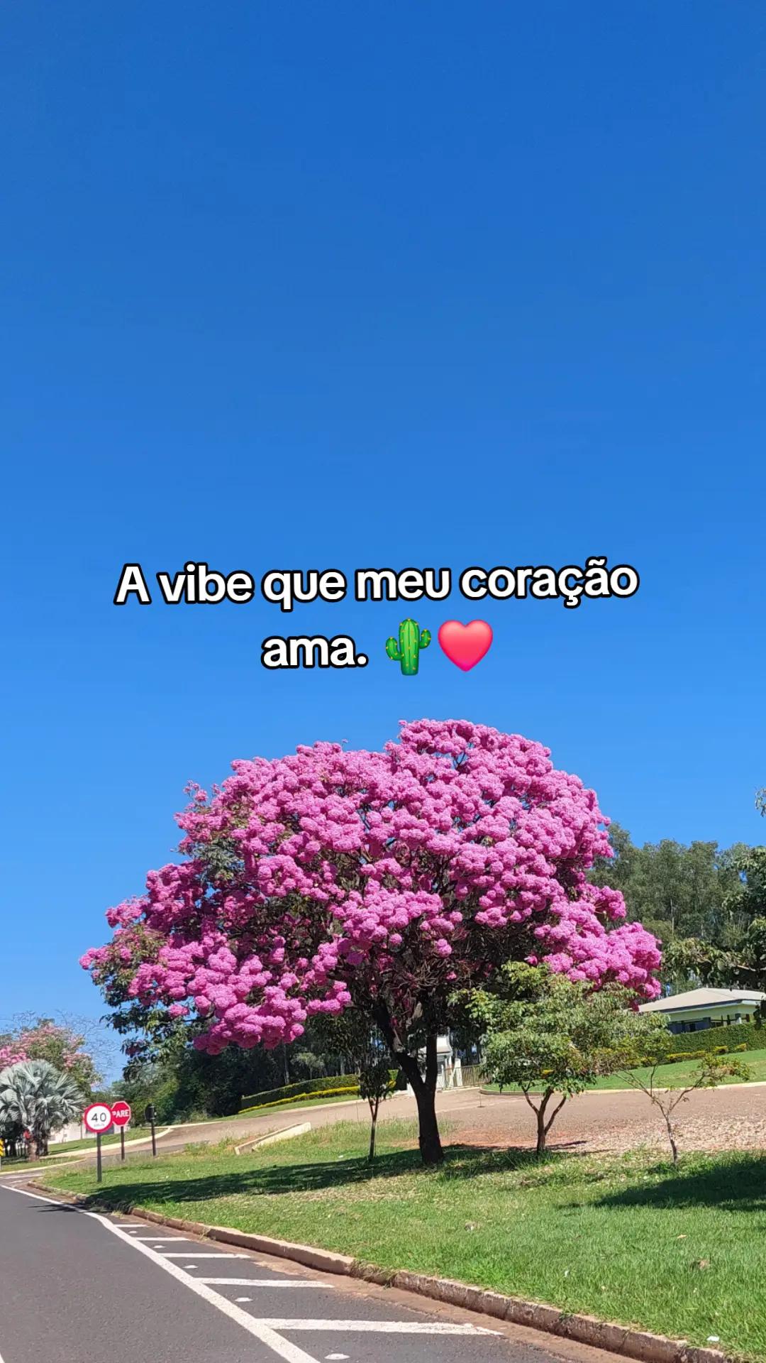 @Mara de Jesus