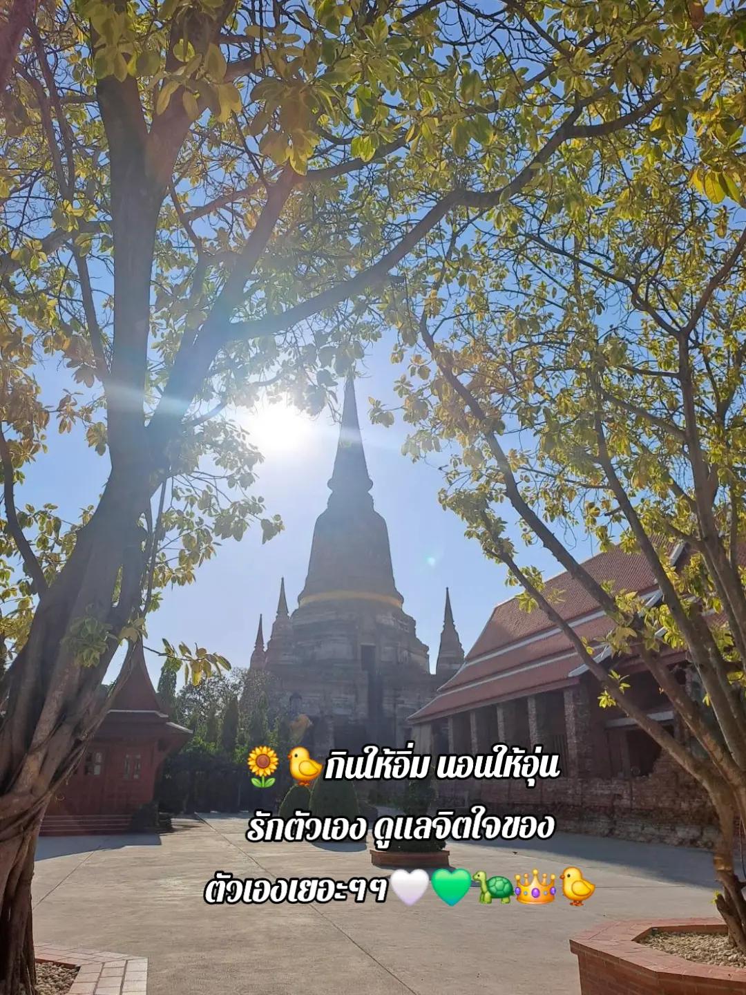 @duangduan_19