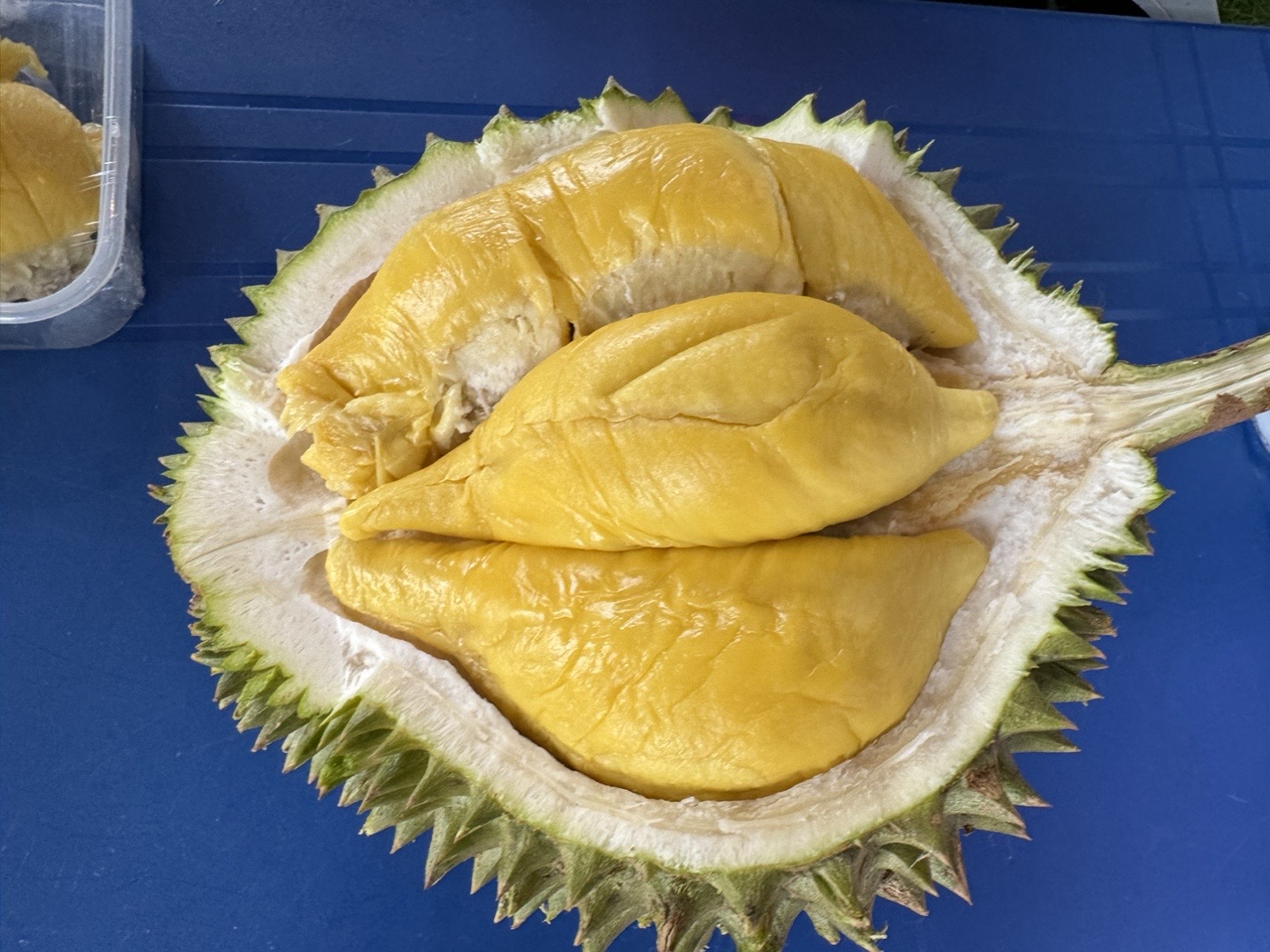 @Durian King Kaki