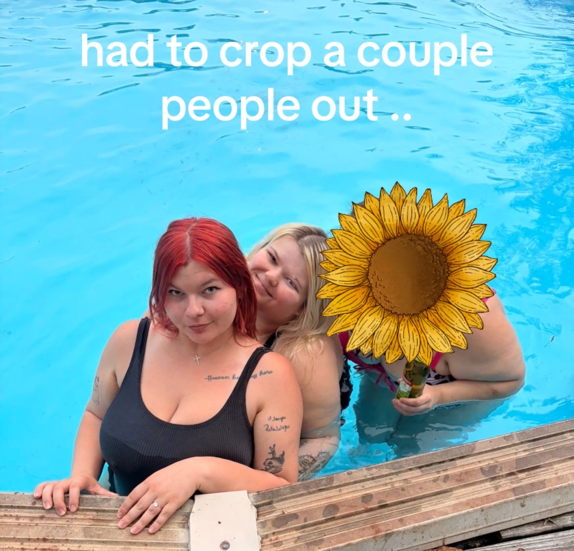 @catinthehat2026