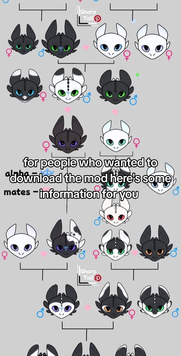 @Dragon lover