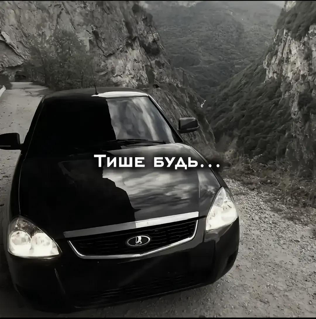 @_trofim_
