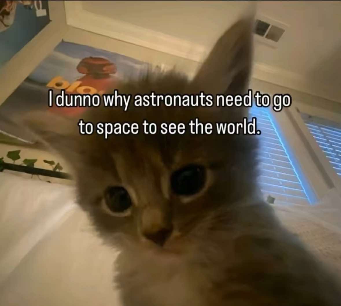 @thoughtswithred