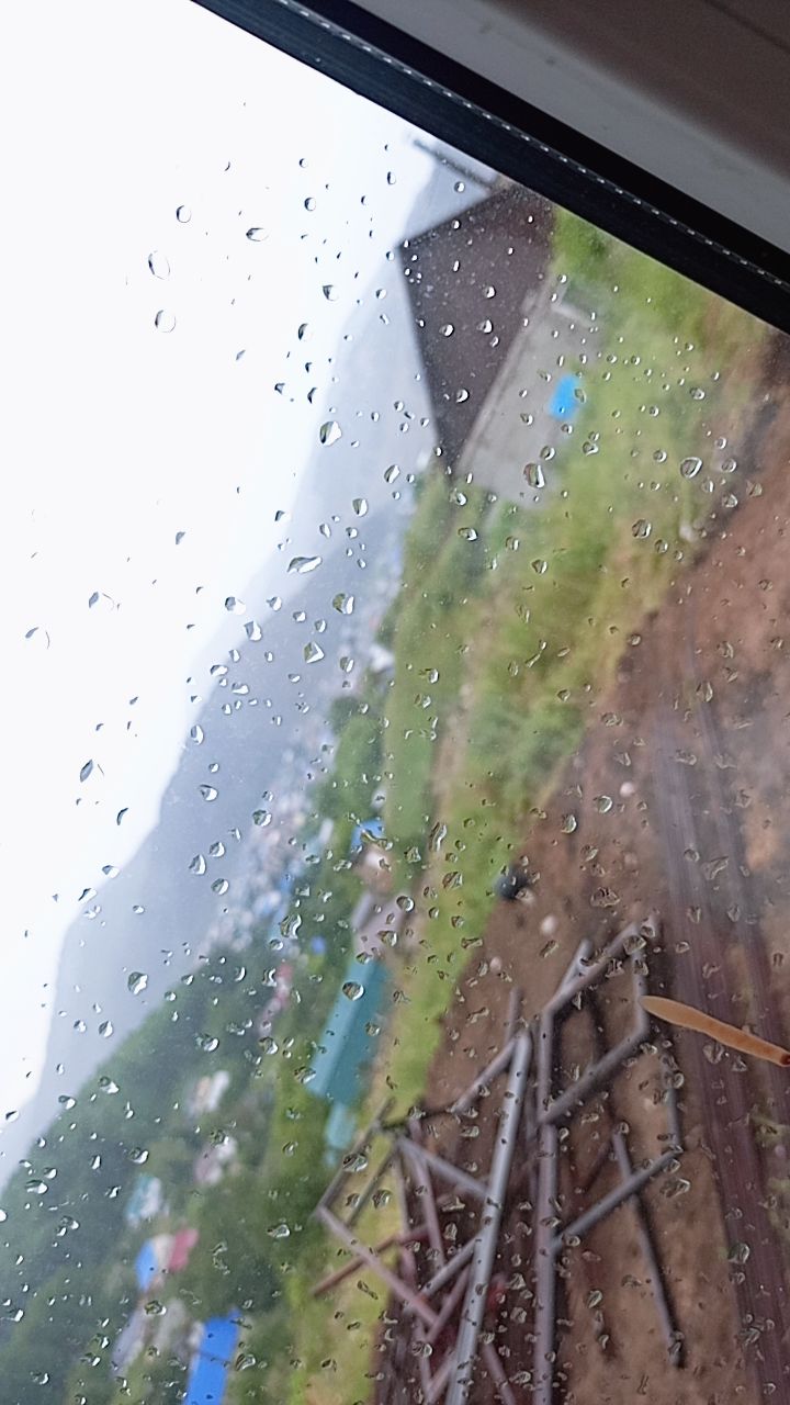 @fortboi