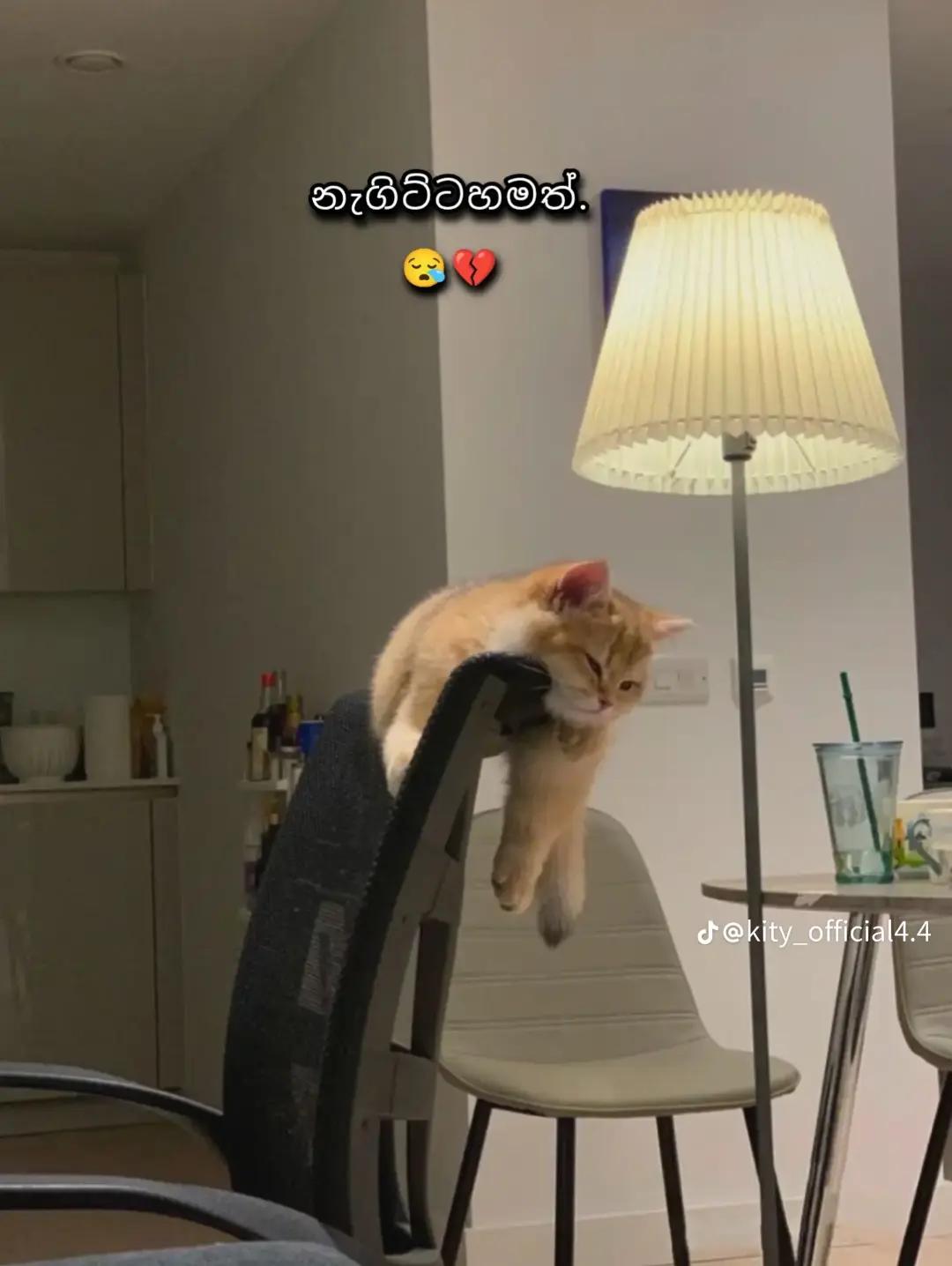 @𝐒^..🔐