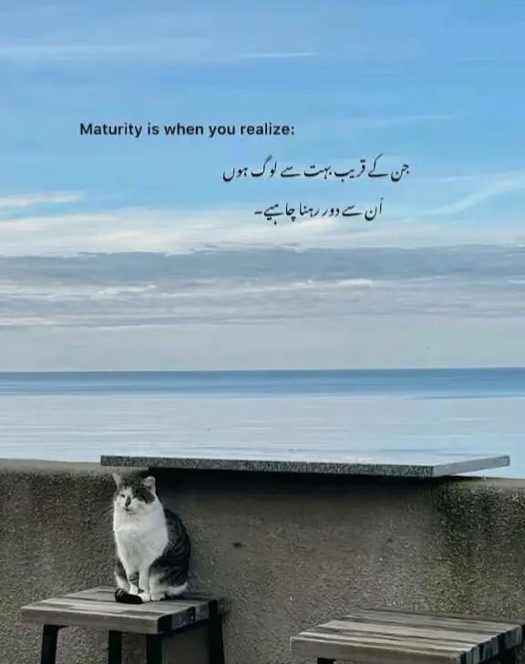 @"M∆L∆NG"G&reg;∆PH&yen;"
