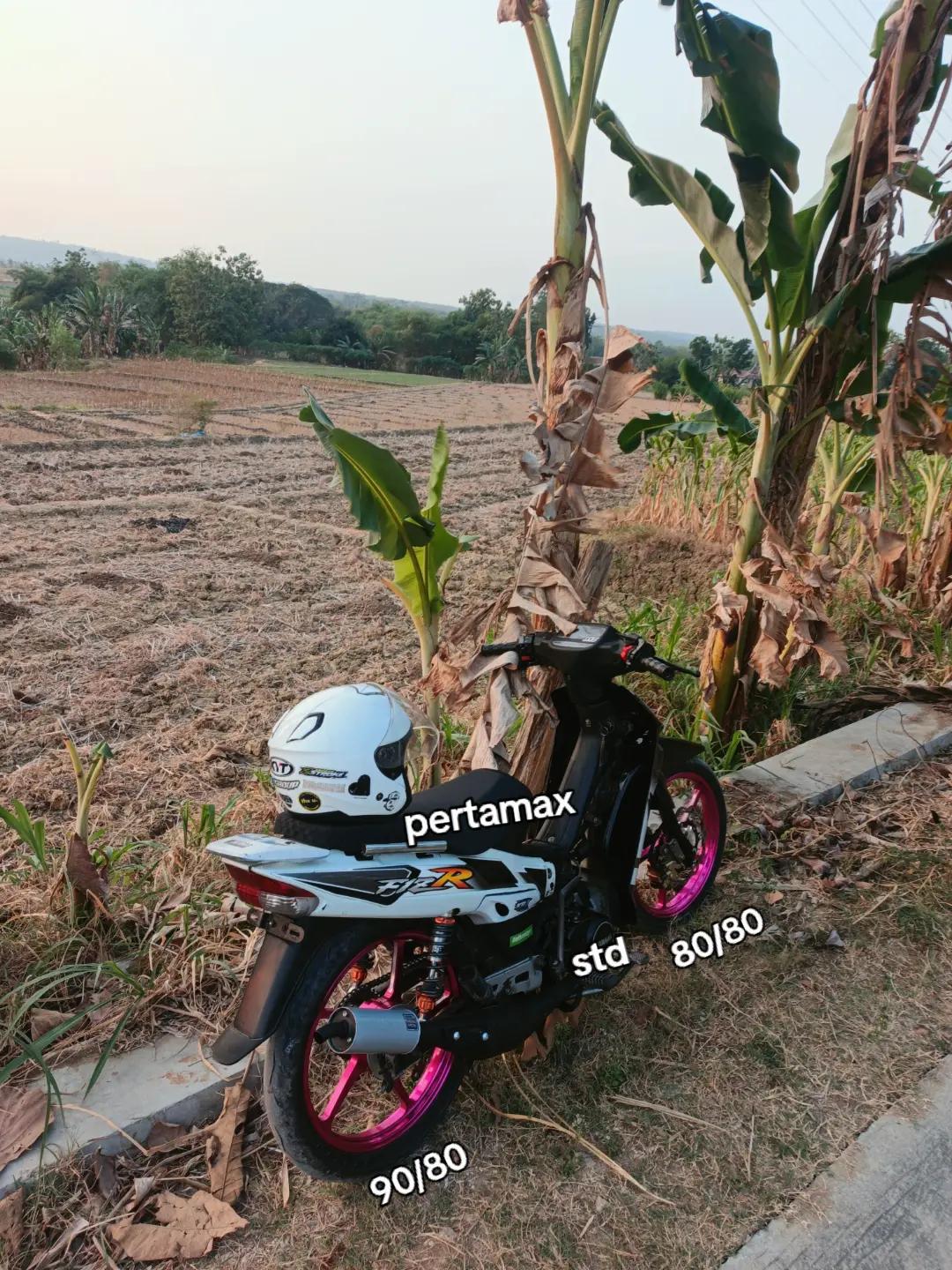 @NOGOSARI 🦆