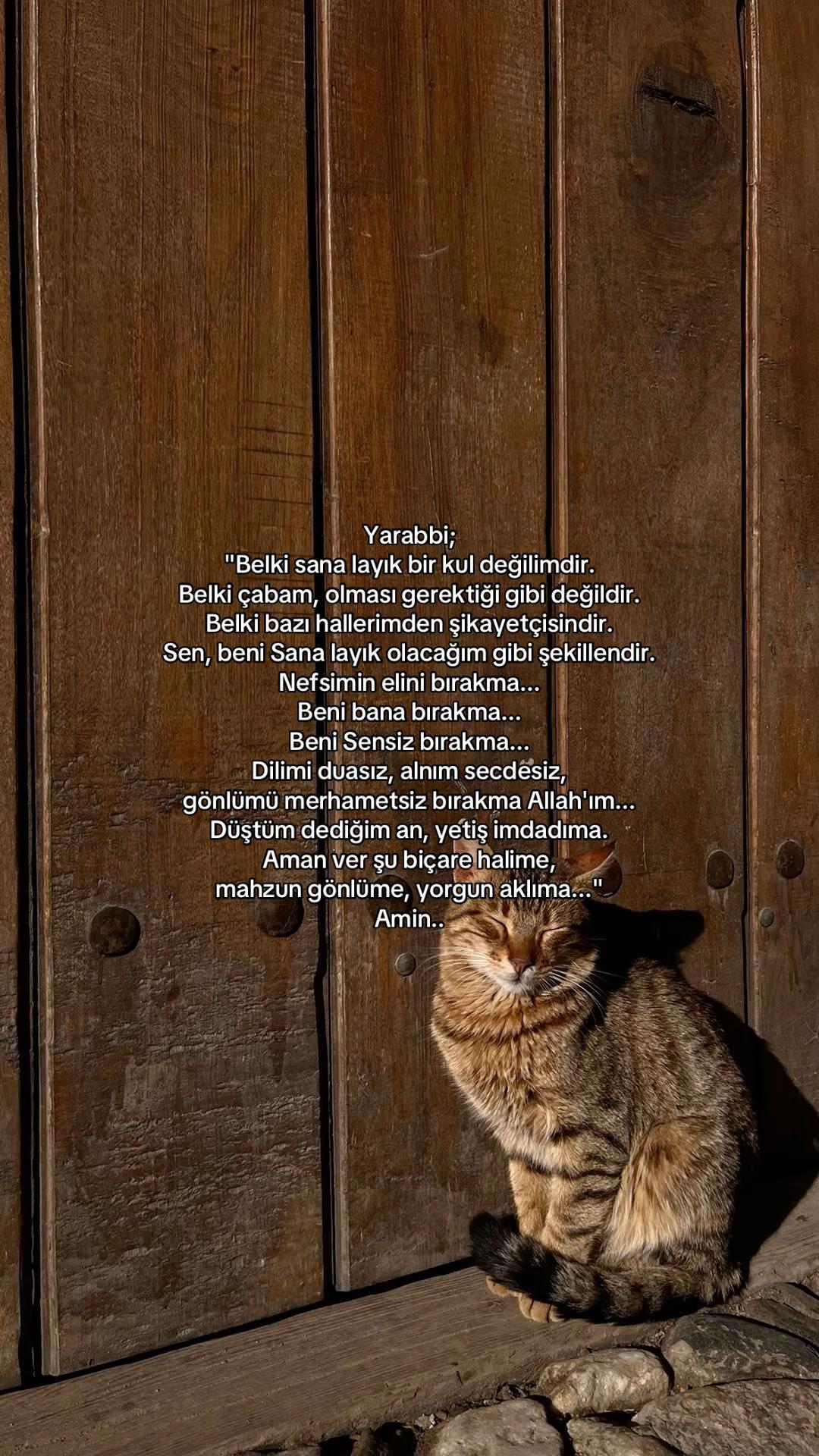 @𝓔𝓵𝓲𝓯