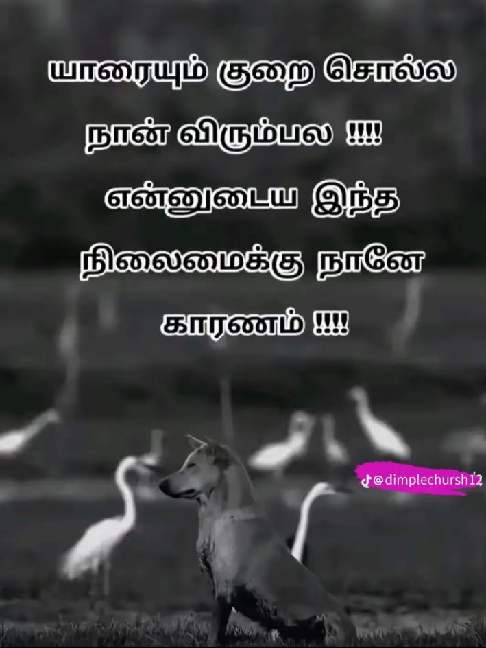 @யாரும் இல்லாத அனாதை.🥺🥀💔