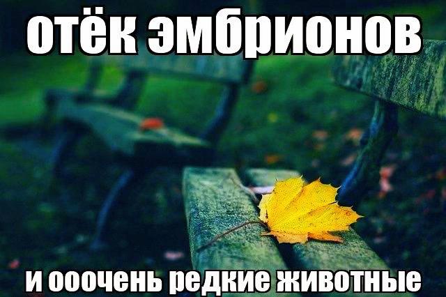 @тгк турбо выбулькиватель