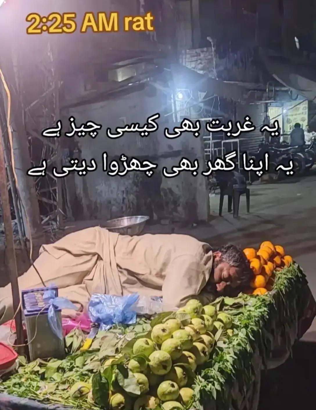 @Rashidkhan302