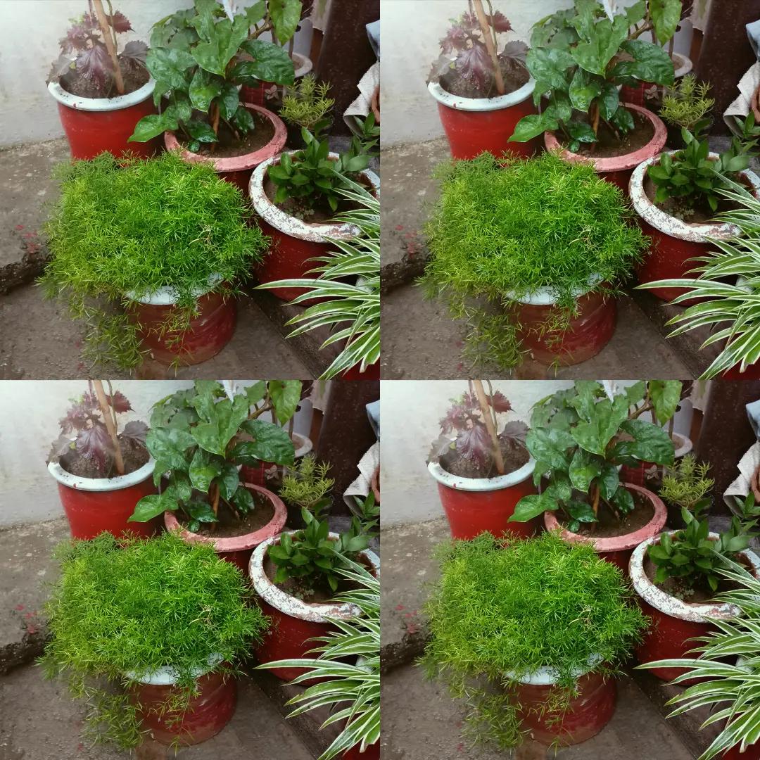 @NaSiRqUrEsHi
