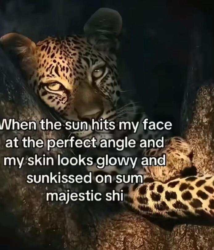 @Dom¡n¡c