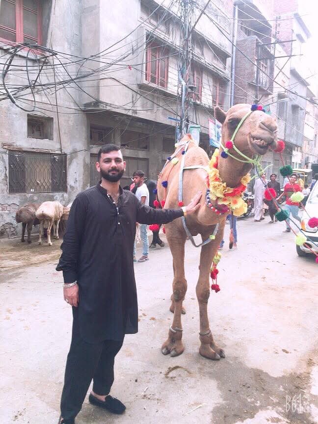 @Zuhaib Rajput