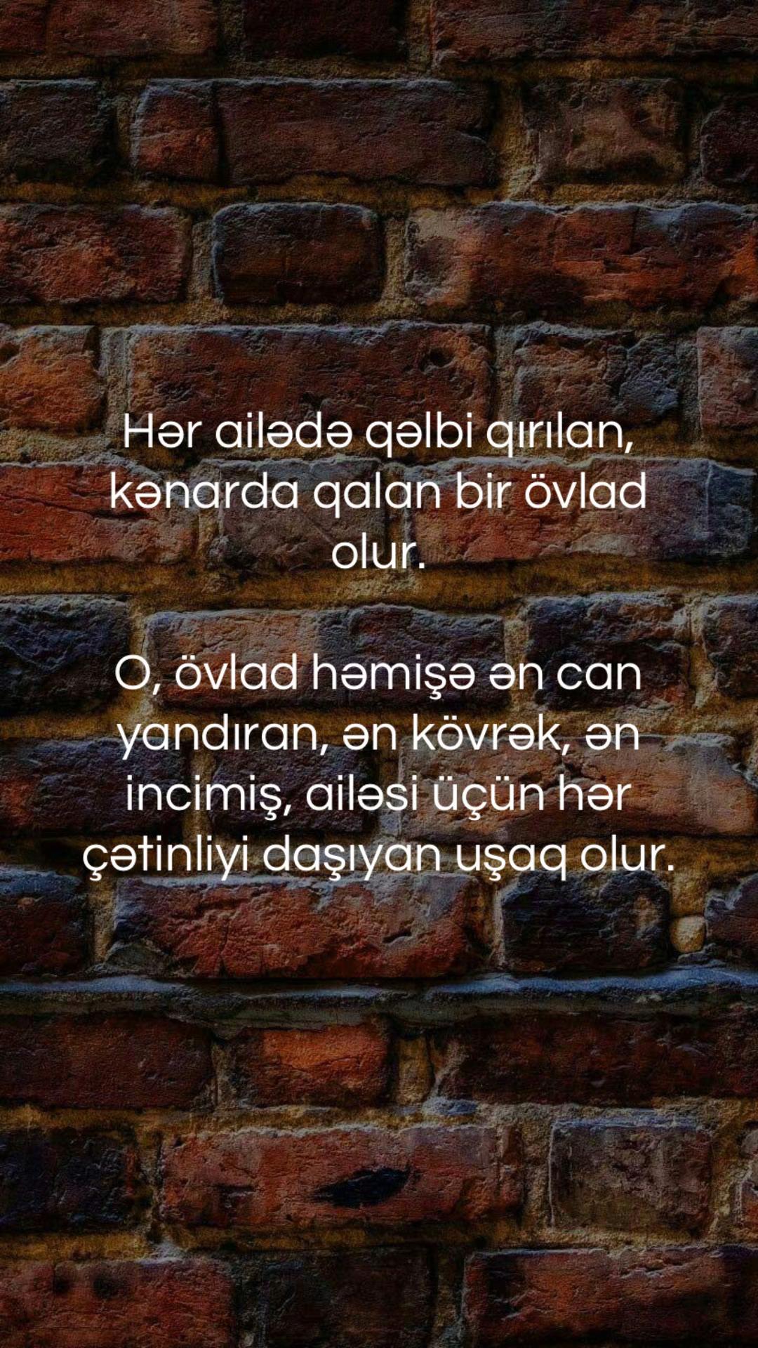 @musiqi_qidasi