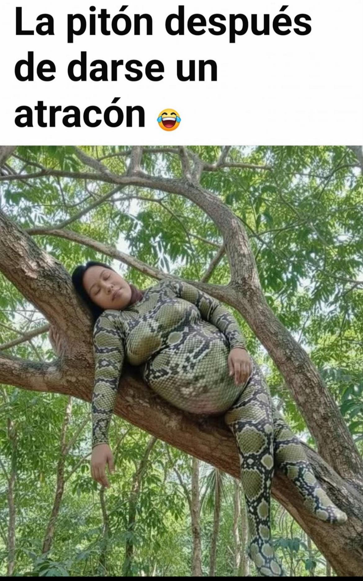 @Caroline Chacon Sond