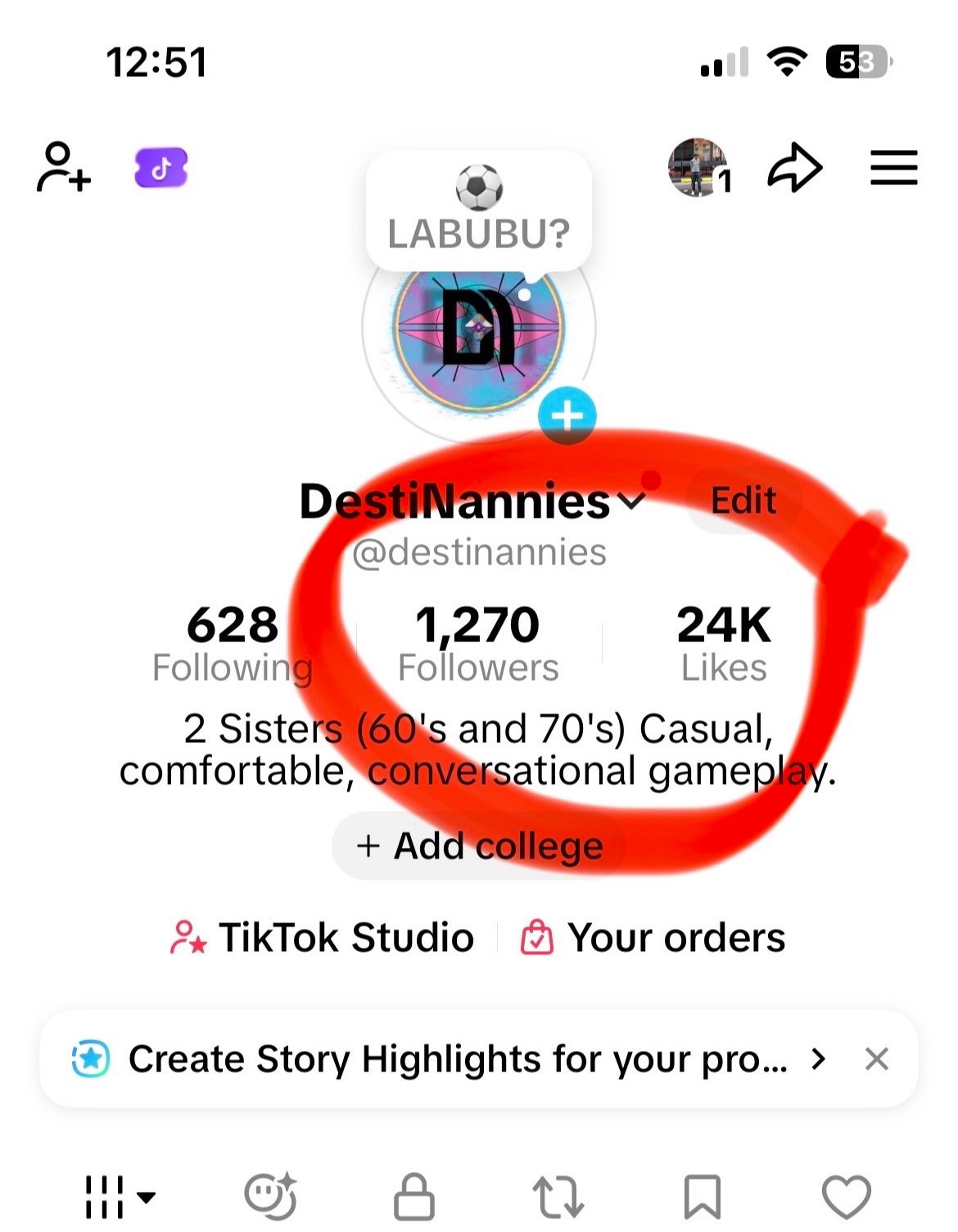@DestiNannies