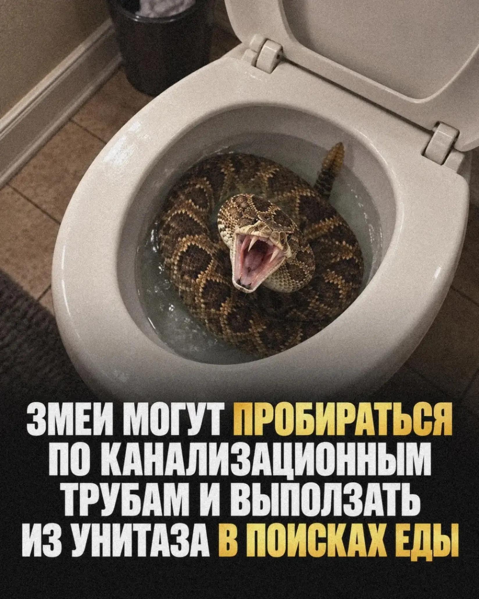 @Gritsenko1964