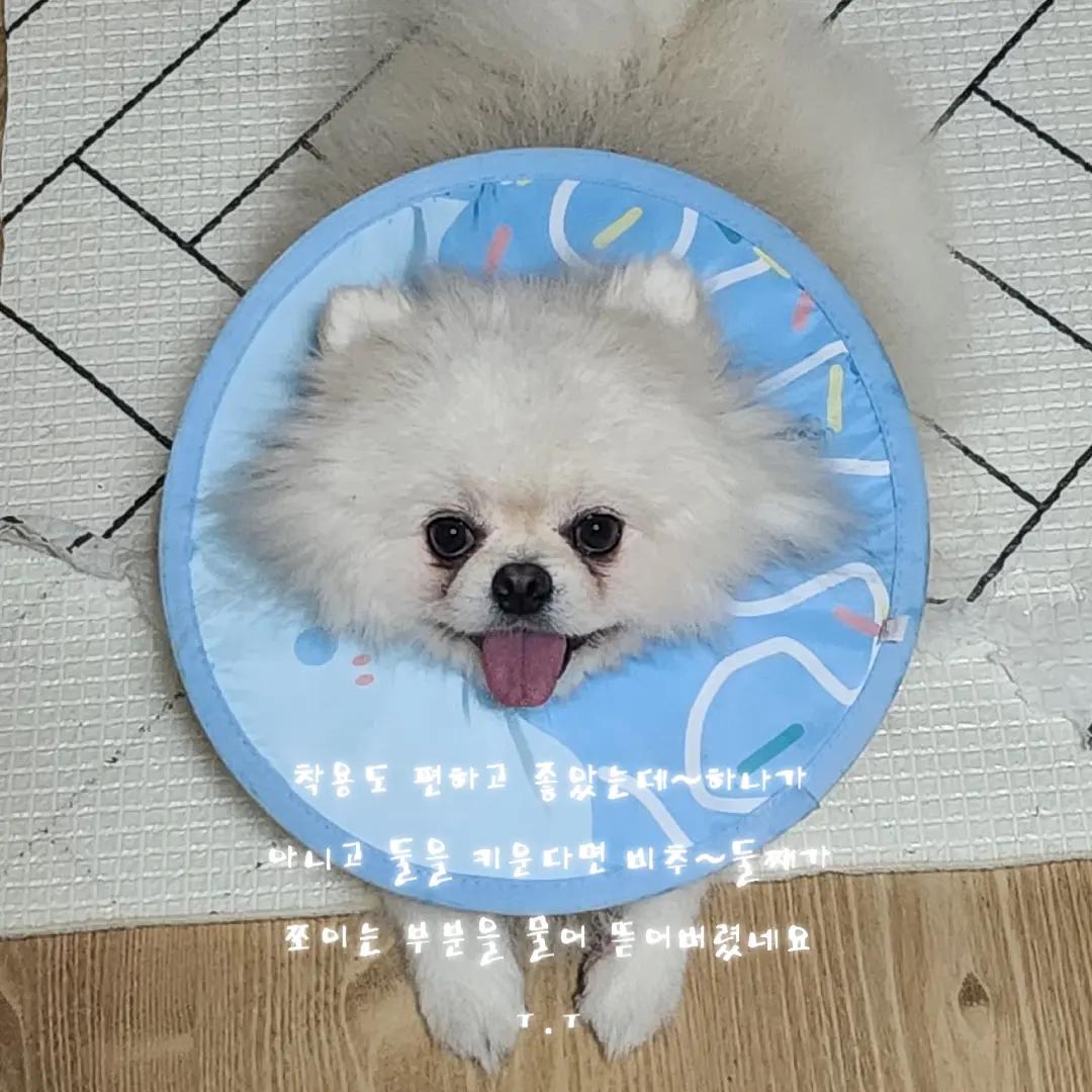 @두진이와두리 아빠