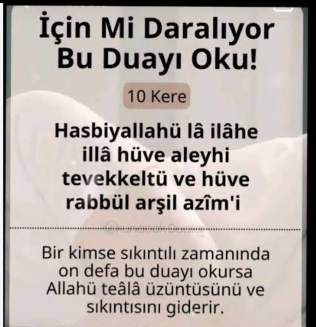 @şeenol Albayrak