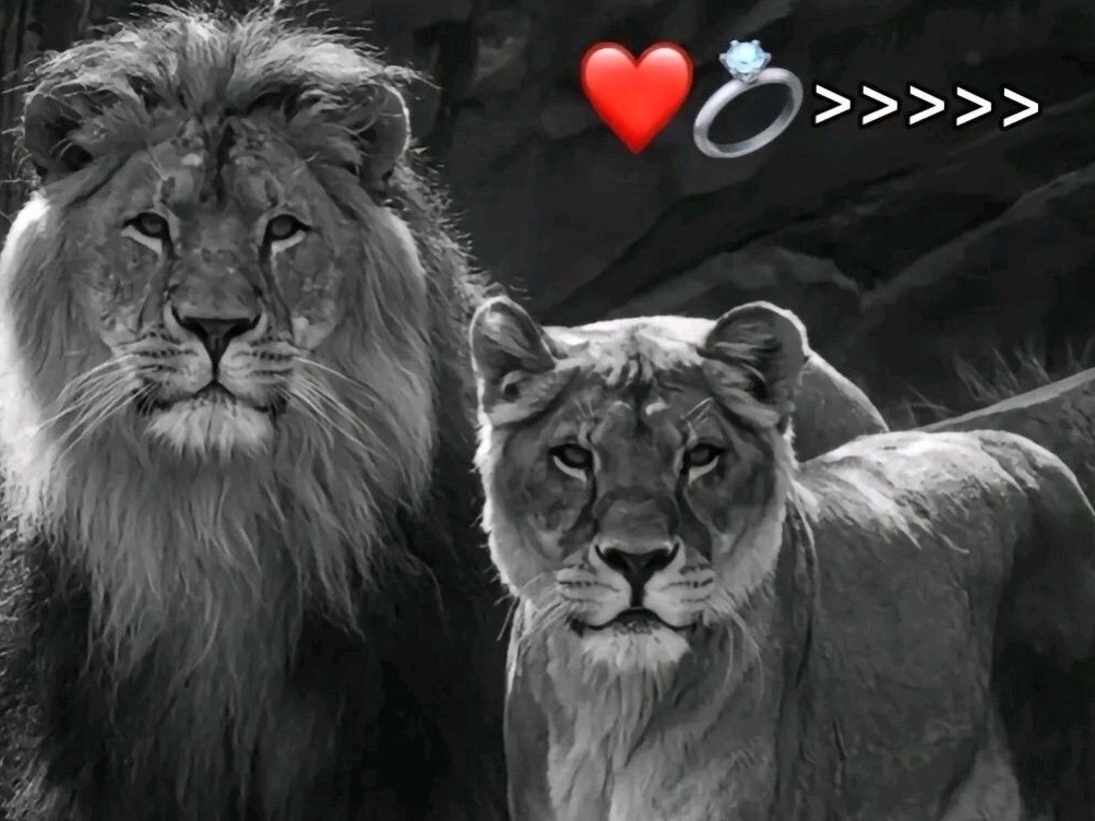 @Lcasa_wiya❤️🥀
