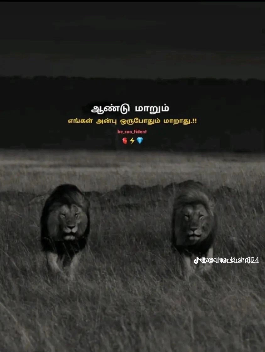 @vaavishan2