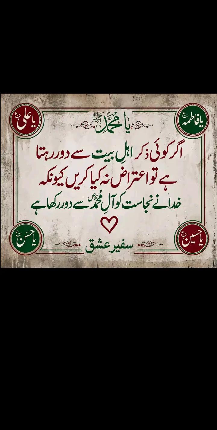 @syedalihussainina