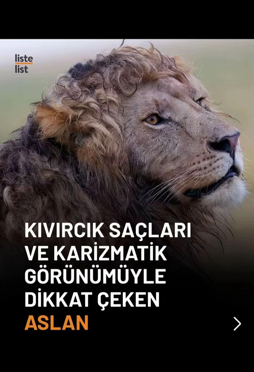@𝑪𝒂𝒏 𝑫𝒆𝒎𝒊𝒓 🕊️