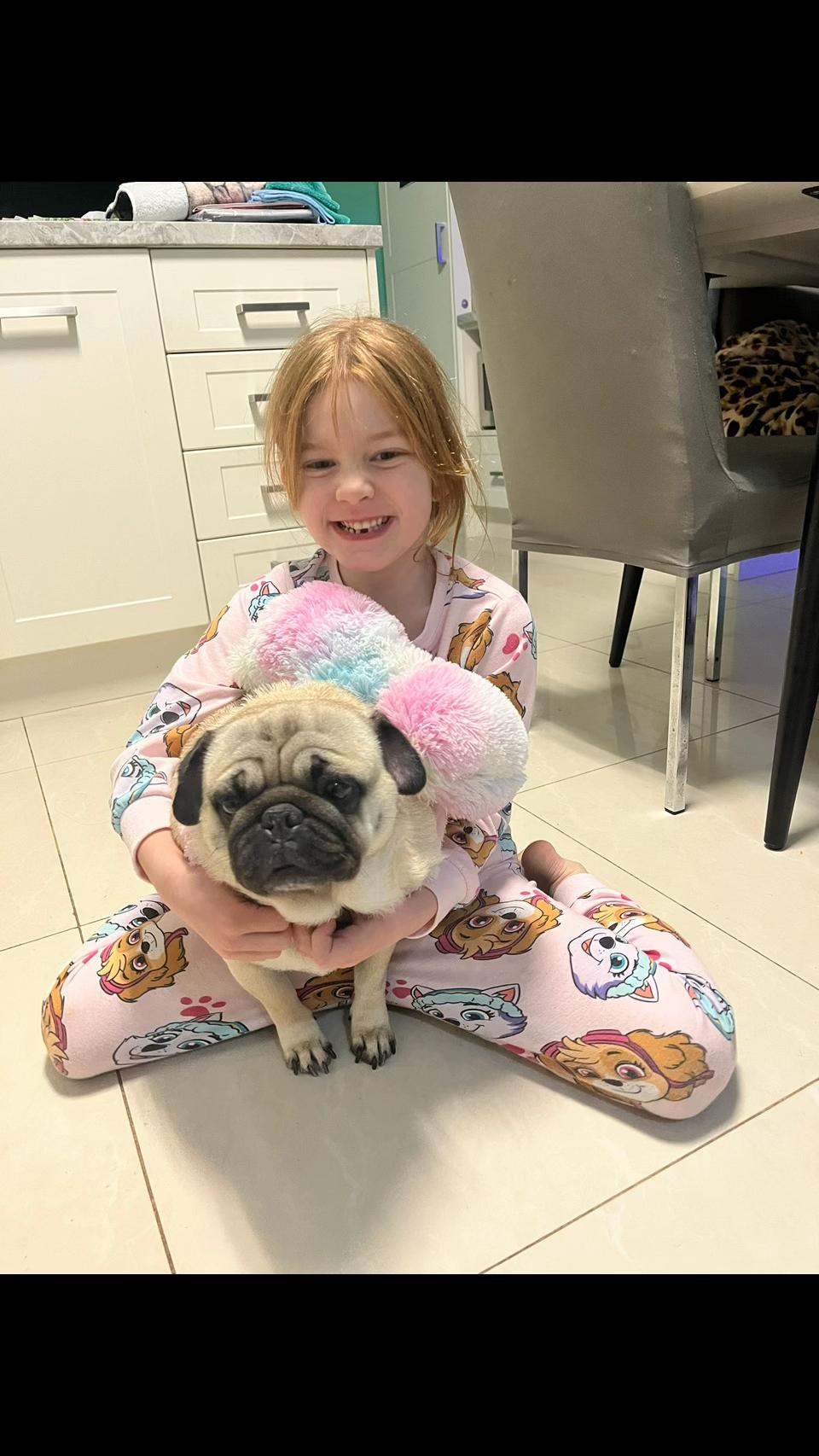 @Life with my 3 beautiful Pugs
