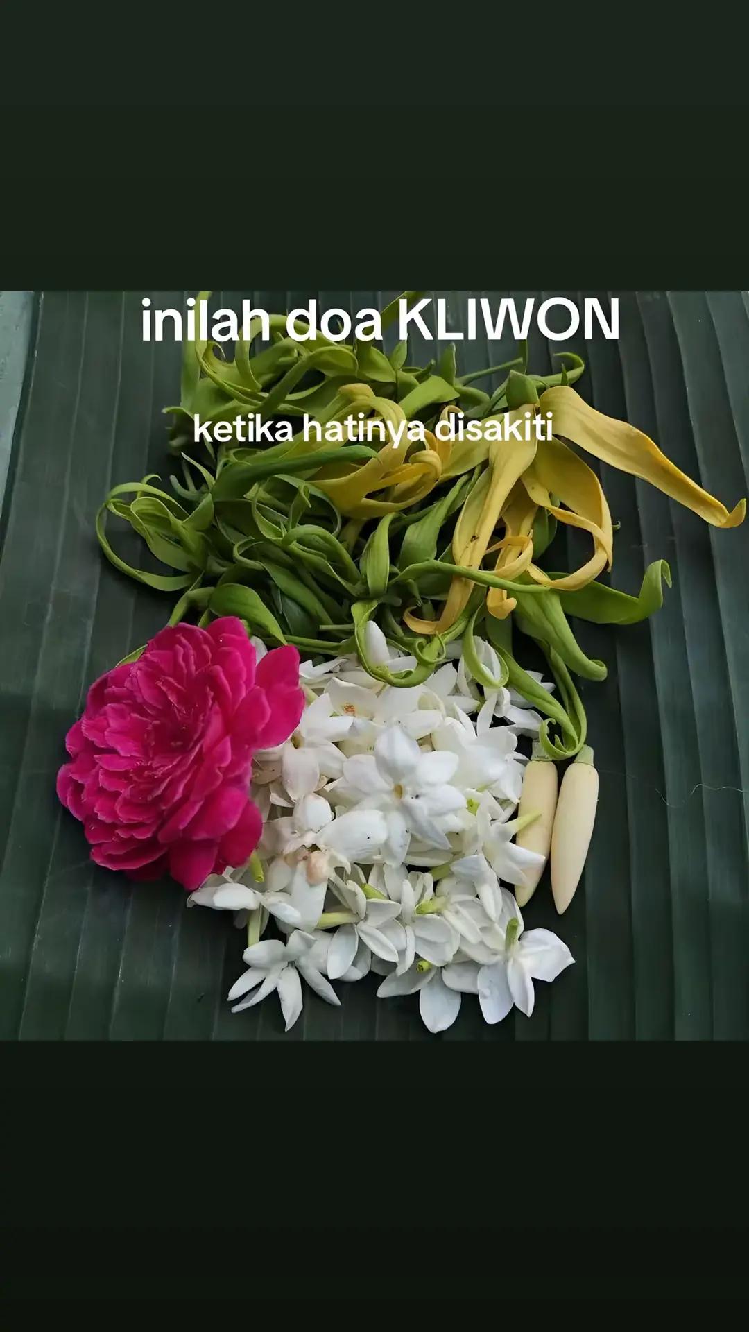 @Melati wong Ae