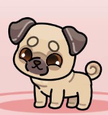 @🐱~puggy~🐶