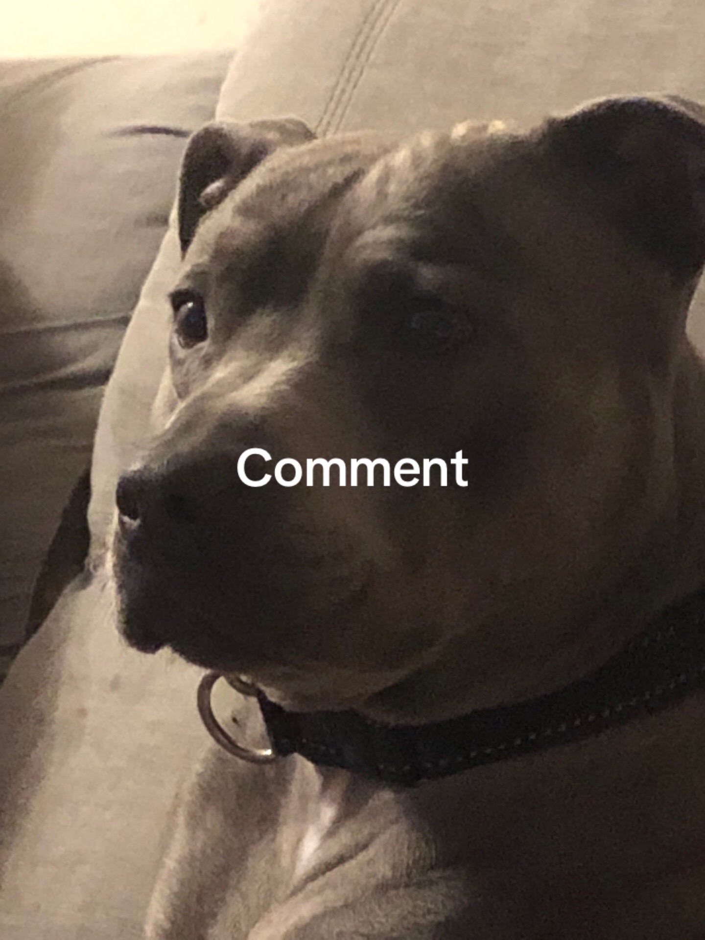 @Yourboy_Mason🤪🤪🤪