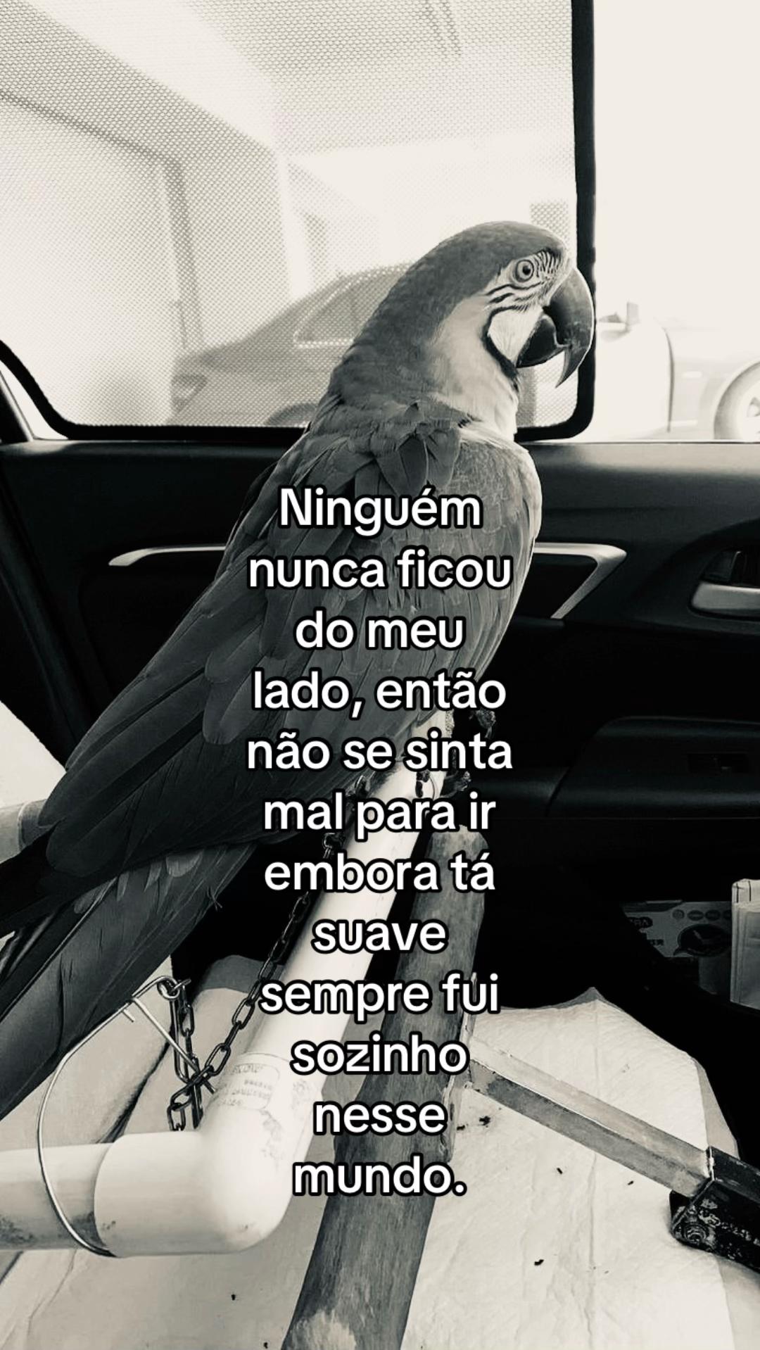 @junin 
