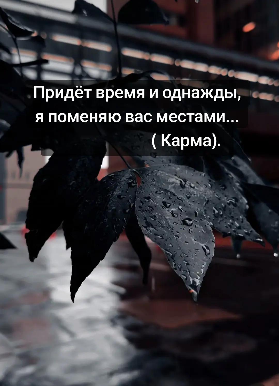 @Alev