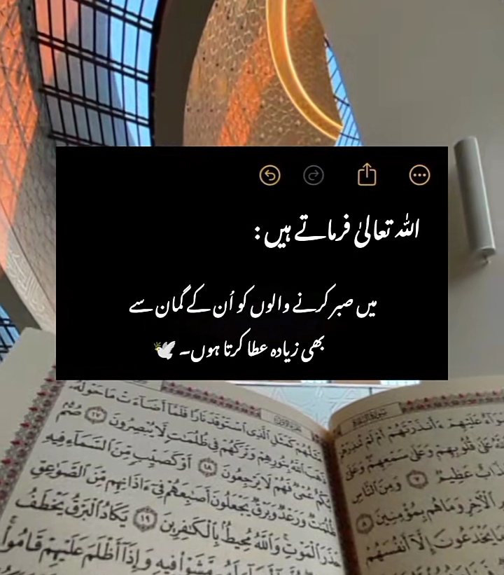 @𝑯𝒂ل𝒂𝒍_𝑫𝒖ڈ𝒆🕋🫠🌸