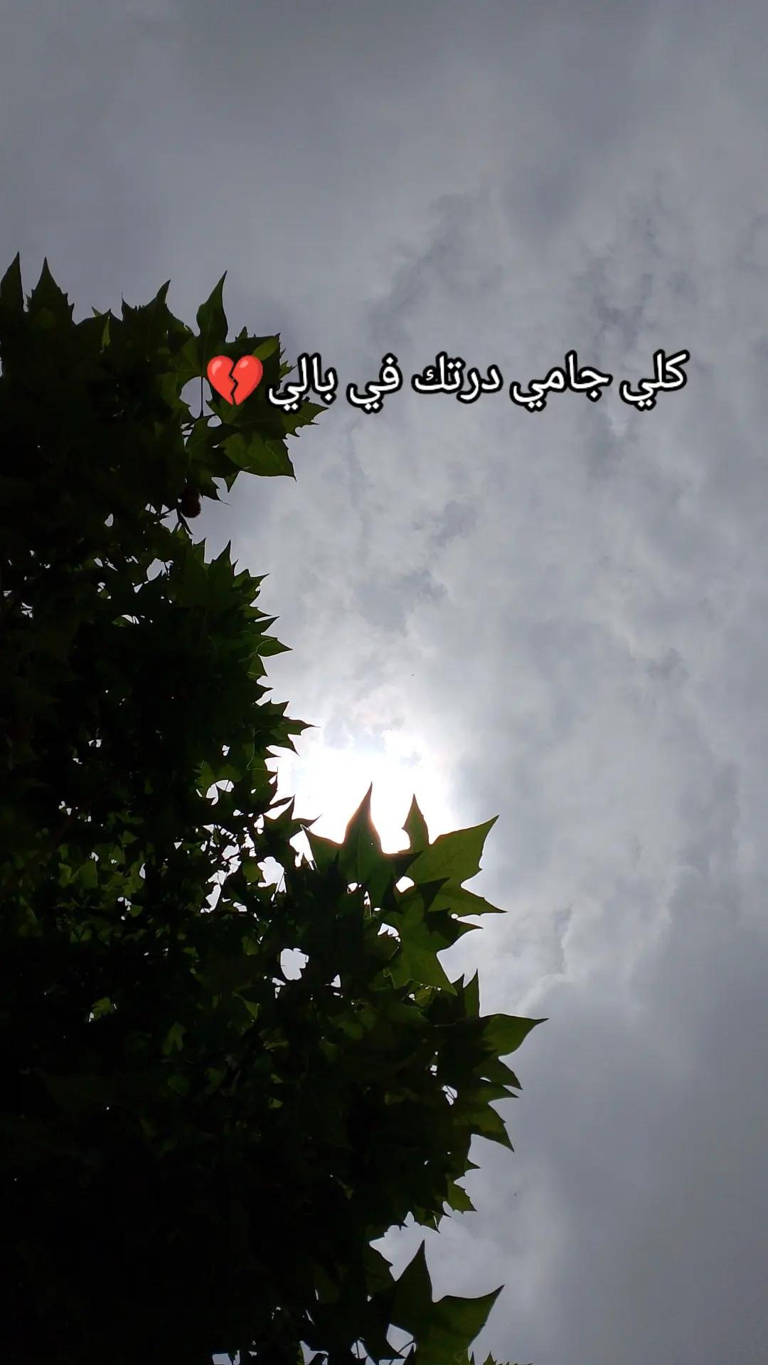 @๐ฉทโจMALAK_BA๐๐งธ