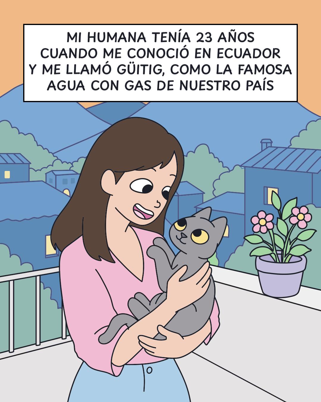 @Cosa de gatos