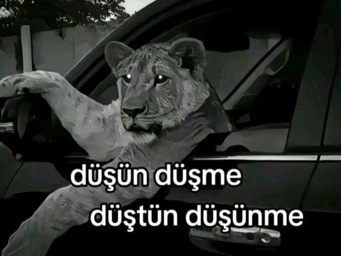 @HALİLECEVİT70