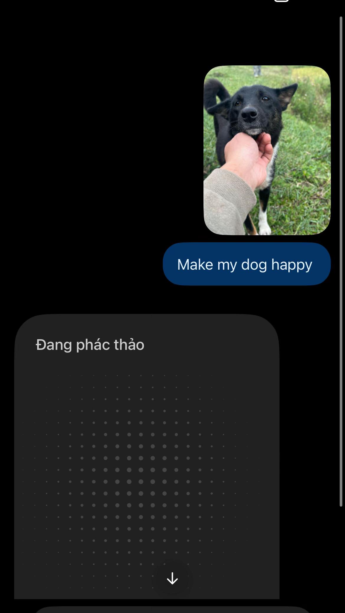 @thomas_jasper2004