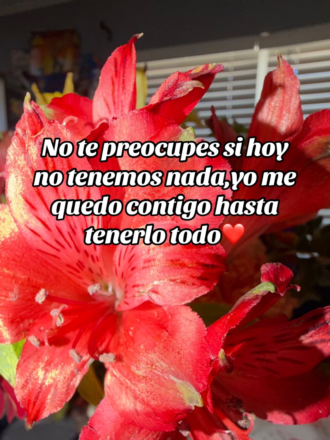 @frases_para_tupagina