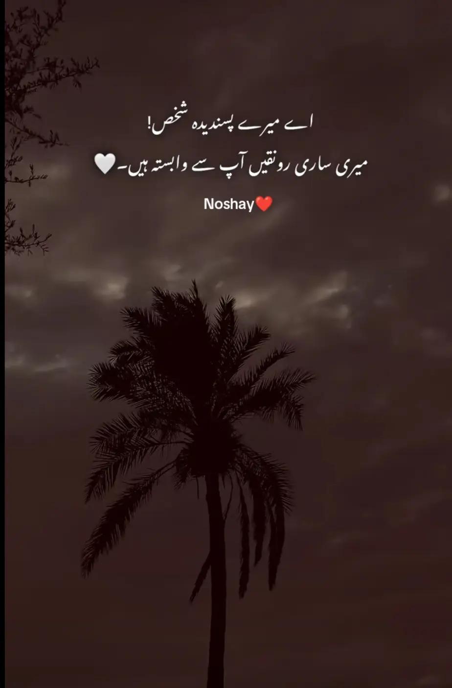 @Noshay❤
