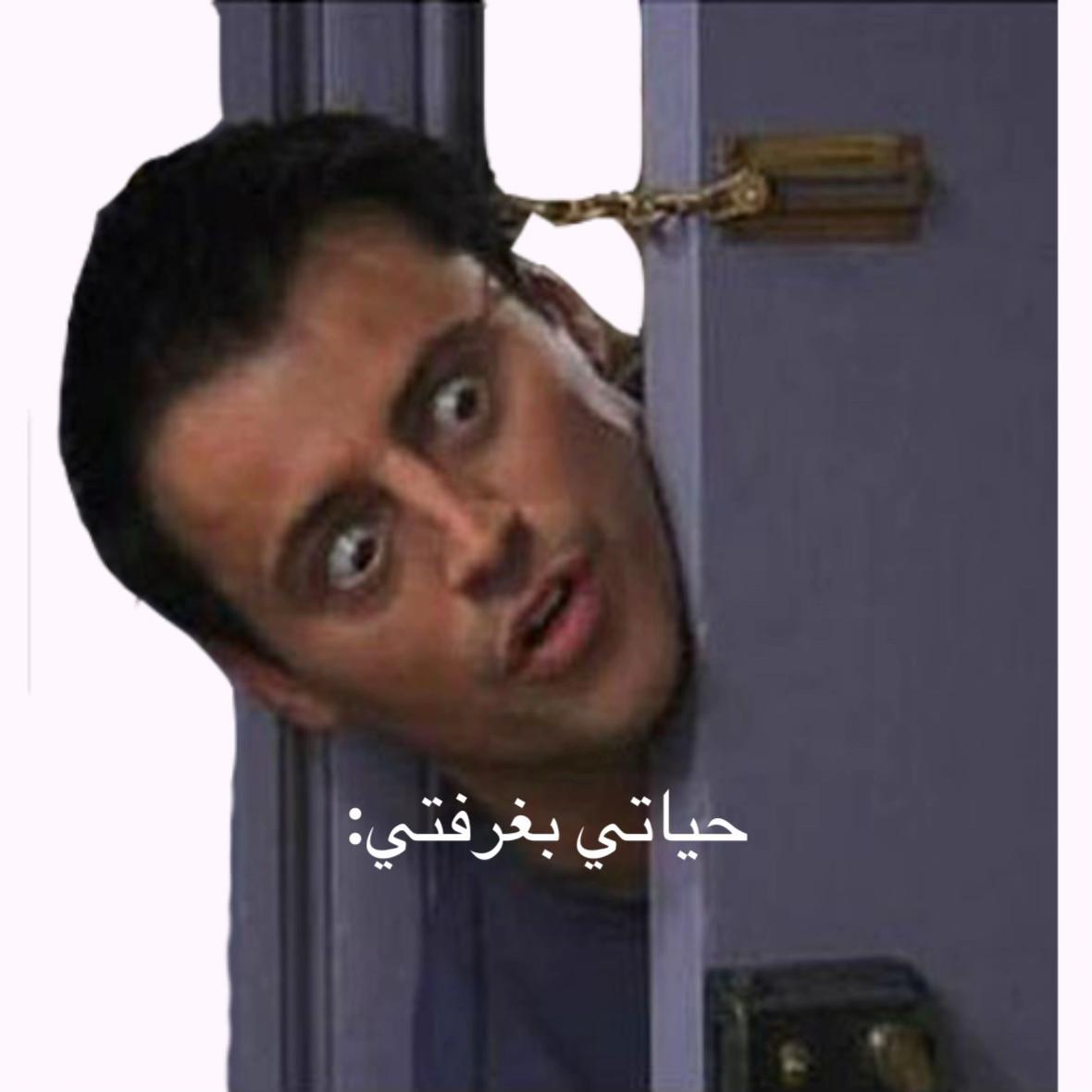 @مينا عبدالله.