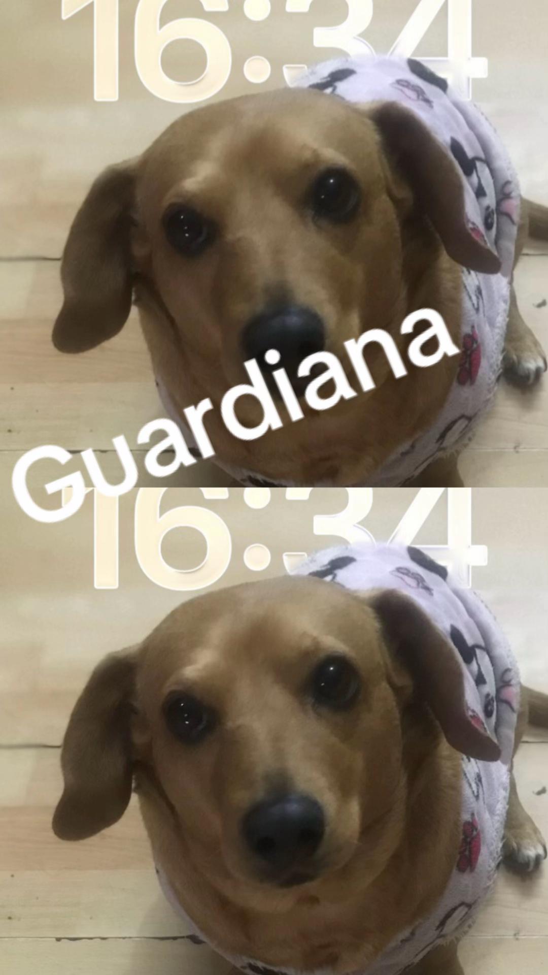 @La pape de la glorieta