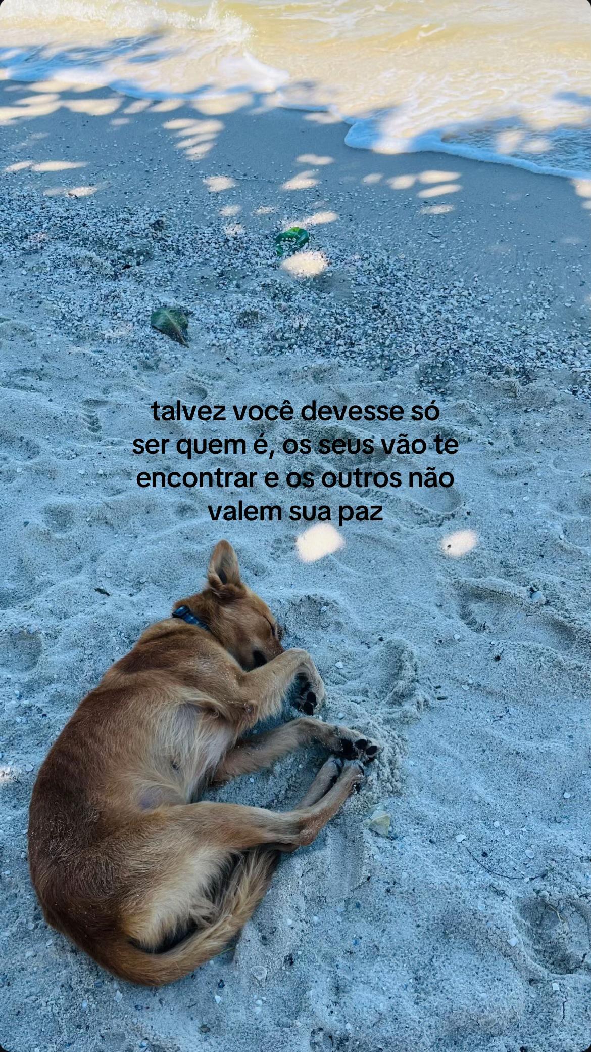 @duda