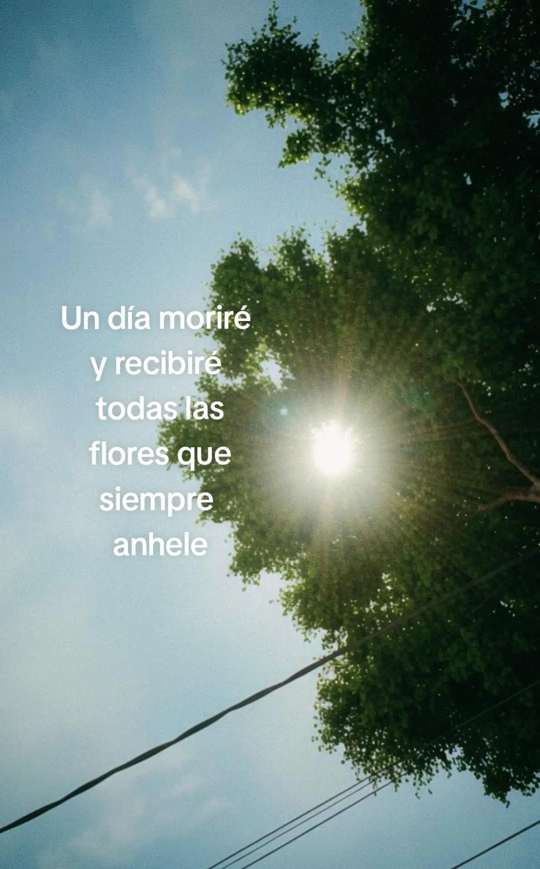 @Ame♡