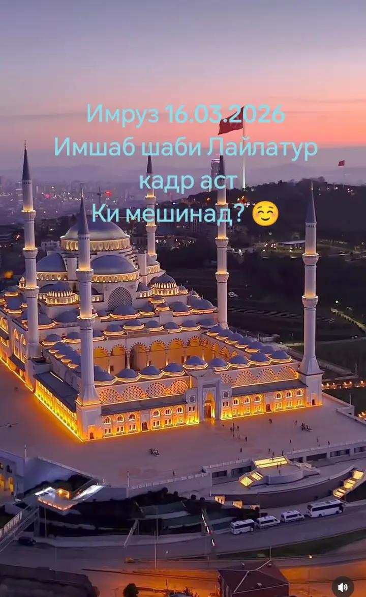 @Brodyga💪03👑