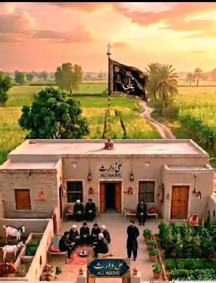 @imran72